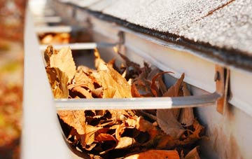 Storridge gutter cleaning companies