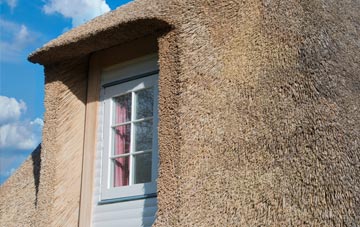 Storridge thatch roof disadvantages